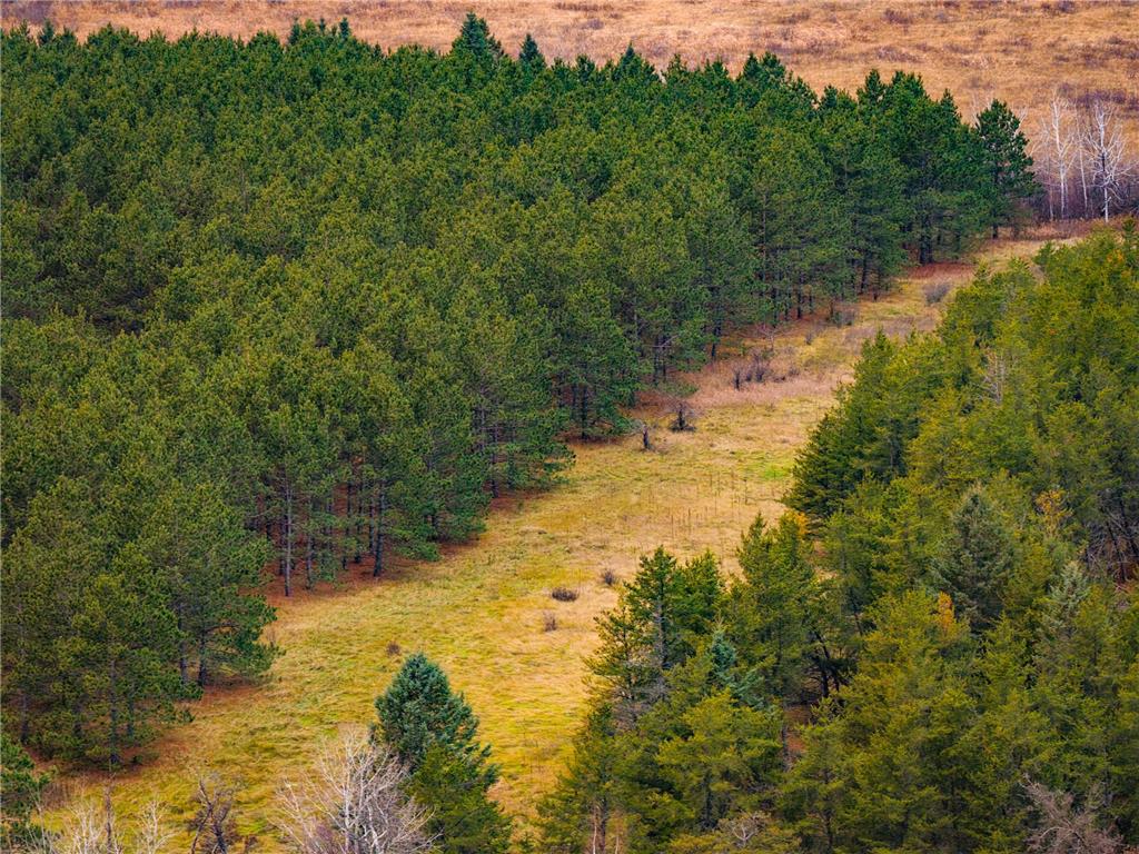 TBD 141st Avenue Bagley MN 56621 - MINNOW 6814336 image6