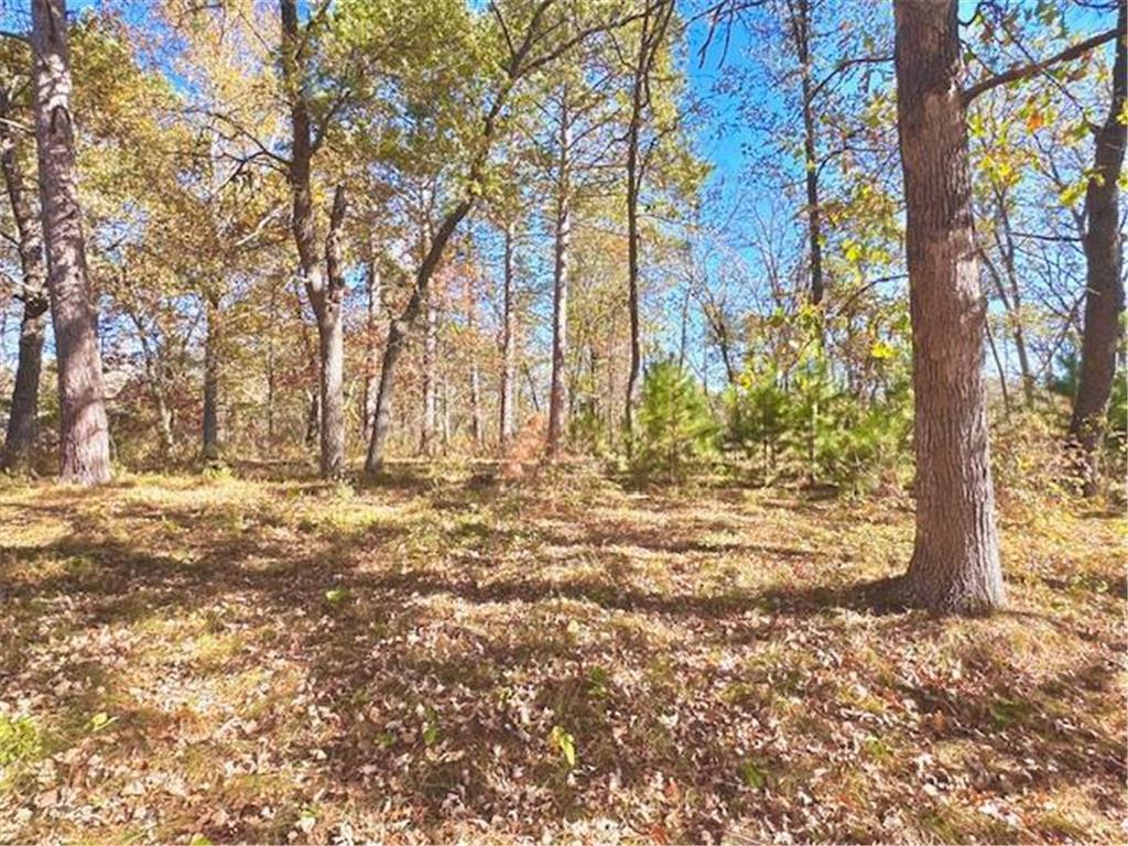 TBD 141st Avenue Blueberry Twp MN 56464 - Stocking Lake 6652905 image10