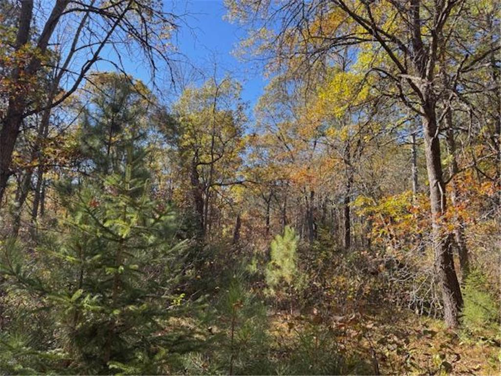 TBD 141st Avenue Blueberry Twp MN 56464 - Stocking Lake 6652905 image11