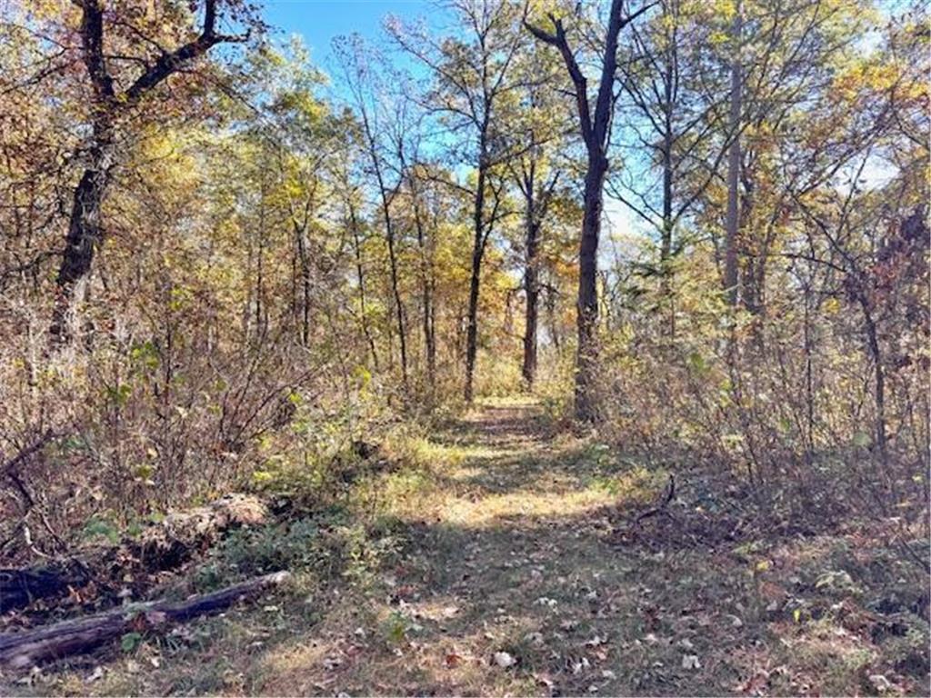 TBD 141st Avenue Blueberry Twp MN 56464 - Stocking Lake 6652905 image12