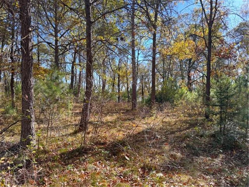 TBD 141st Avenue Blueberry Twp MN 56464 - Stocking Lake 6652905 image13