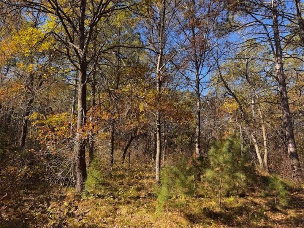 TBD 141st Avenue Blueberry Twp MN 56464 - Stocking Lake 6652905 image14