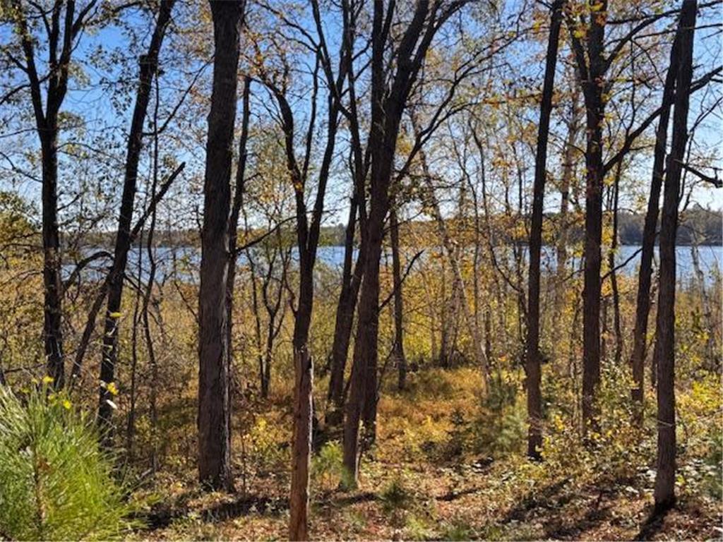 TBD 141st Avenue Blueberry Twp MN 56464 - Stocking Lake 6652905 image15