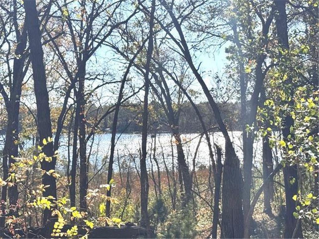 TBD 141st Avenue Blueberry Twp MN 56464 - Stocking Lake 6652905 image6