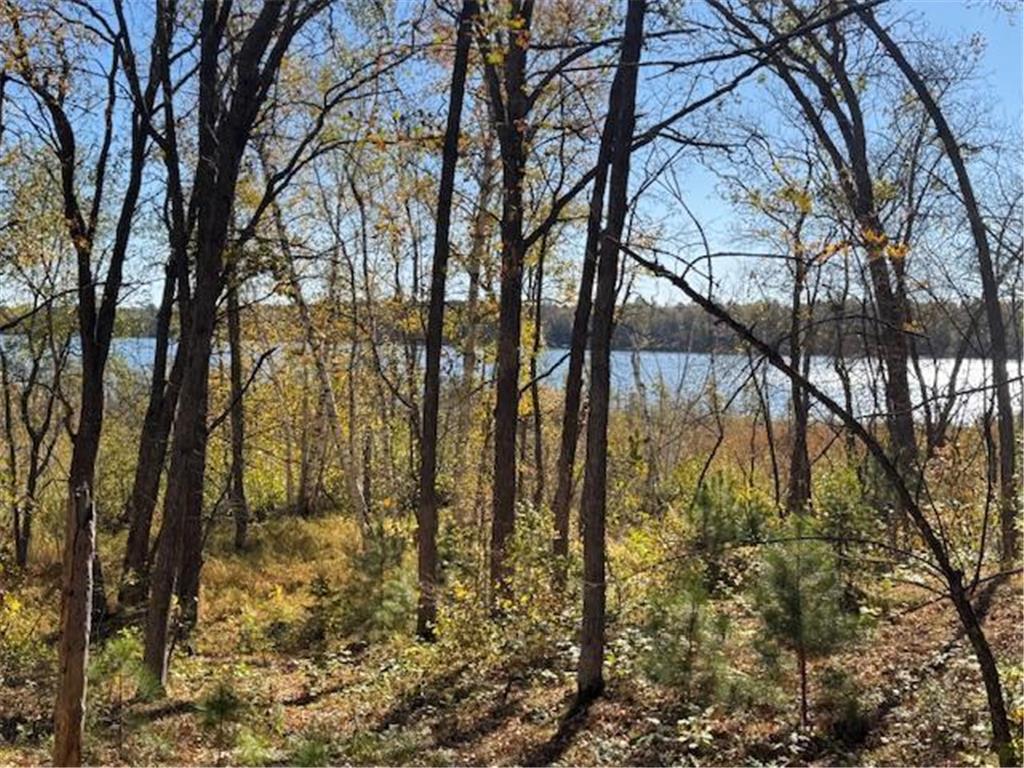 TBD 141st Avenue Blueberry Twp MN 56464 - Stocking Lake 6652905 image7
