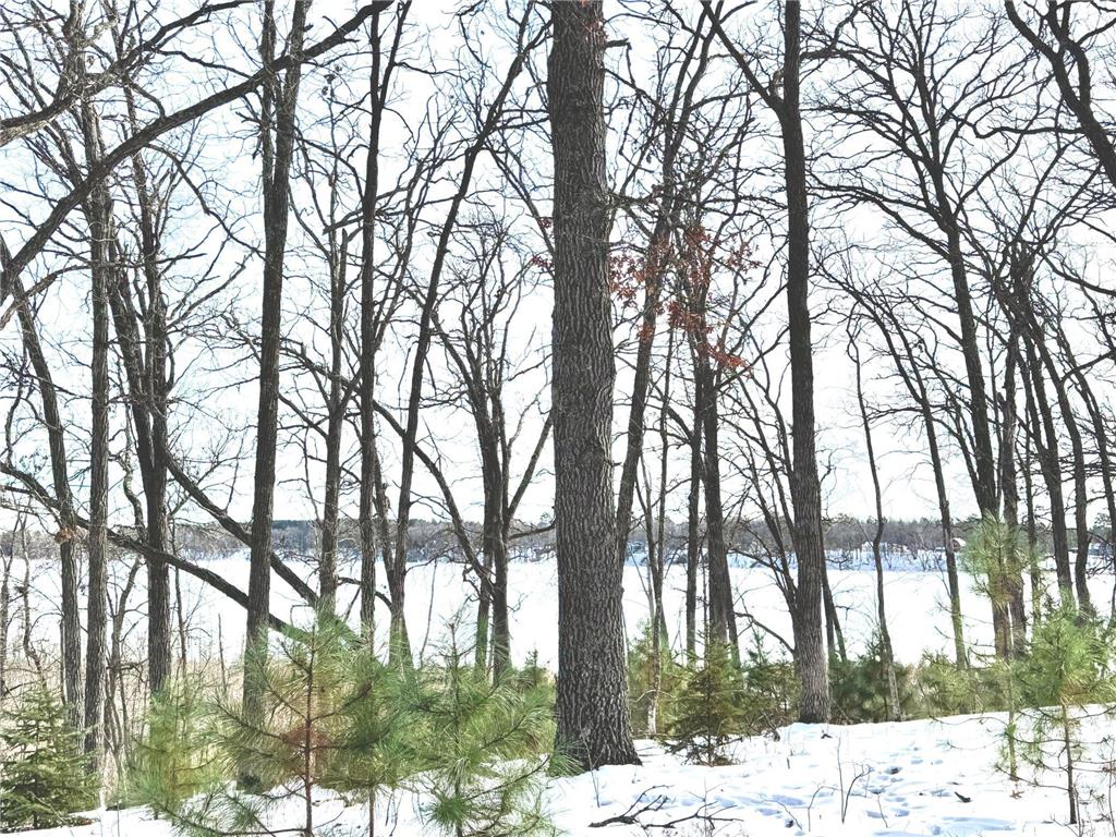 TBD 141st Avenue Blueberry Twp MN 56464 - Stocking Lake 6652905 image8