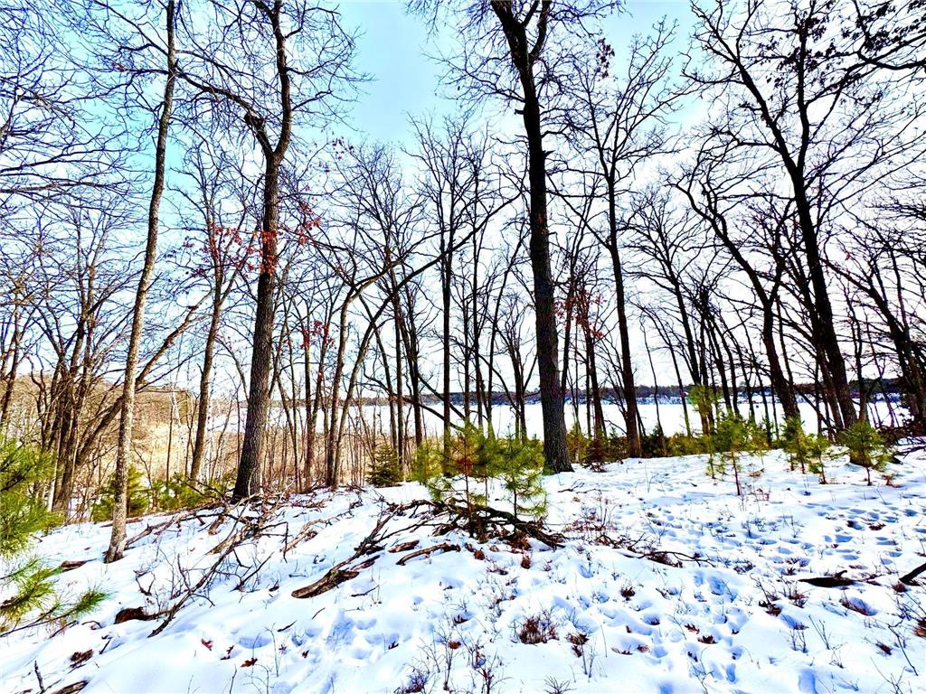 TBD 141st Avenue Blueberry Twp MN 56464 - Stocking Lake 6652905 image9