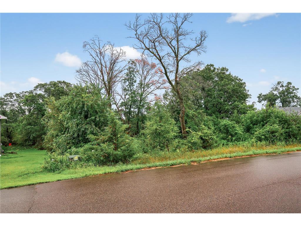 TBD 143rd Street NW Zimmerman MN 55398 6773144 image2