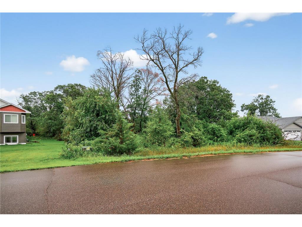 TBD 143rd Street NW Zimmerman MN 55398 6773144 image3