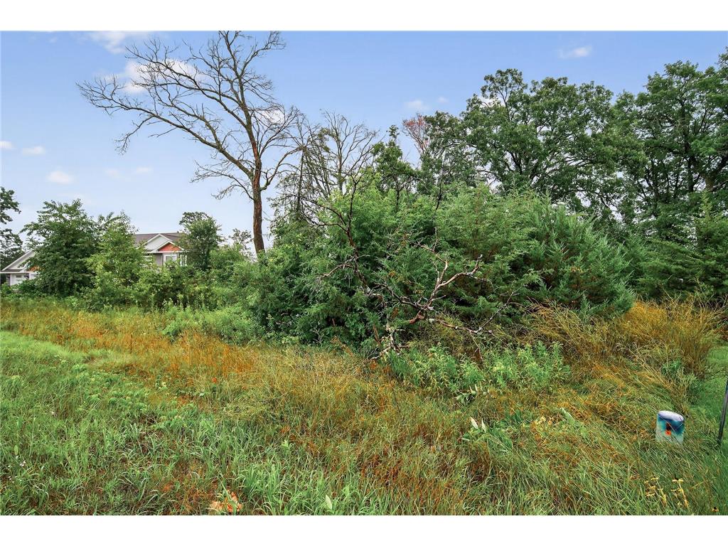 TBD 143rd Street NW Zimmerman MN 55398 6773144 image6