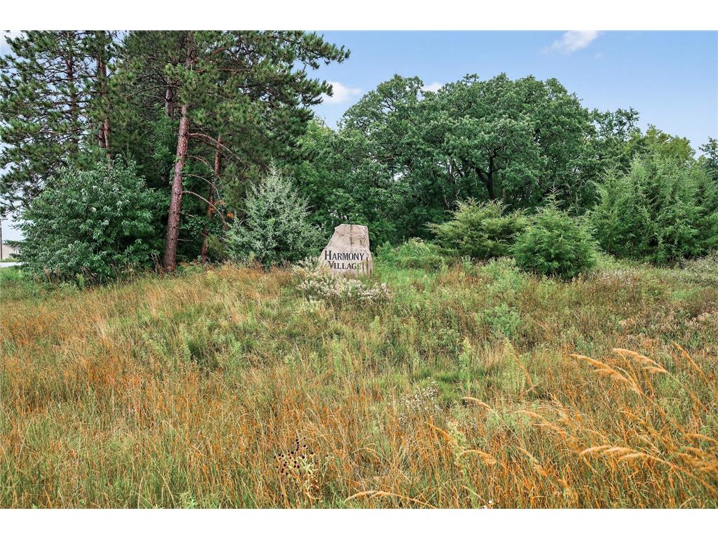 TBD 143rd Street NW Zimmerman MN 55398 6773144 image8