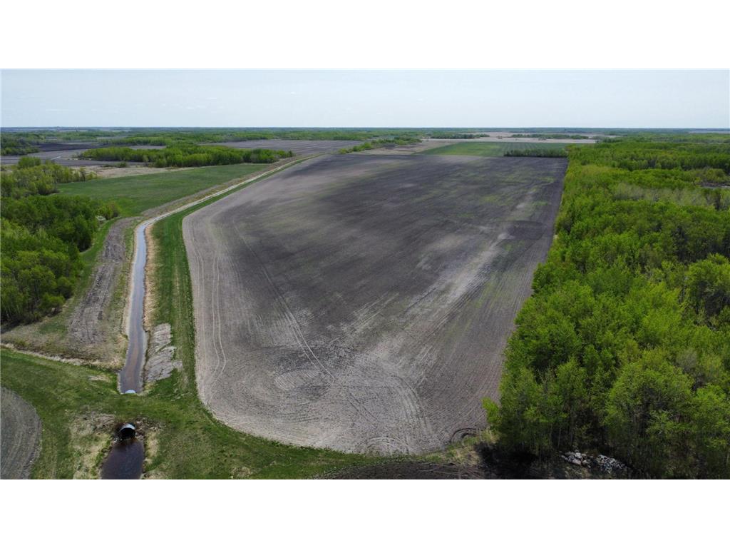 TBD 150th Ave New Solum Twp MN 56738 6583650 image1