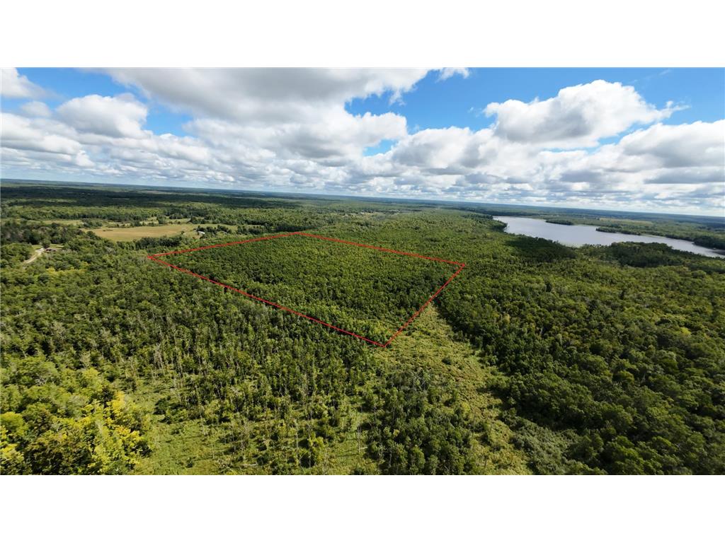 TBD 150th St Idun Twp MN 56342 6772891 image1