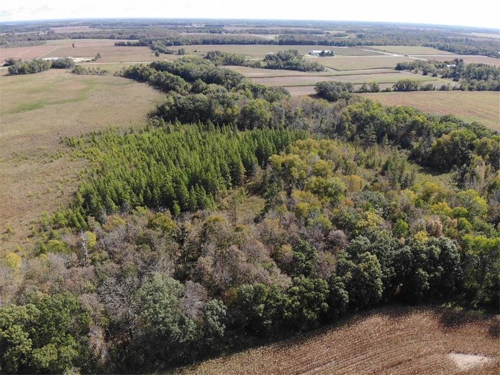 TBD 150th Street Aldrich Twp MN 56481 6793500 image1