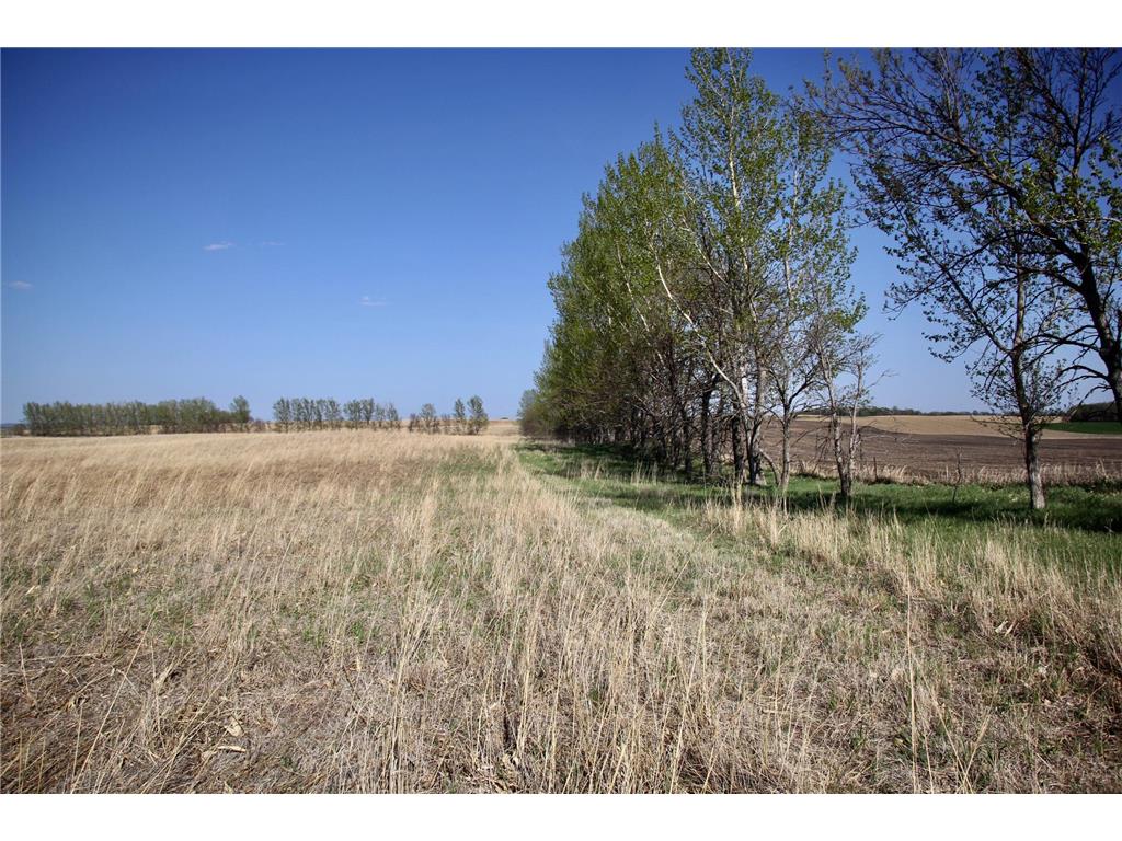 TBD 150th Street Fortier Twp MN 56220 7078878 image17