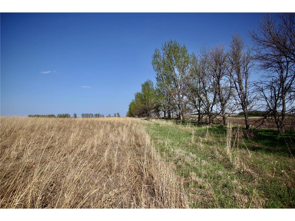 TBD 150th Street Fortier Twp MN 56220 7078878 image18