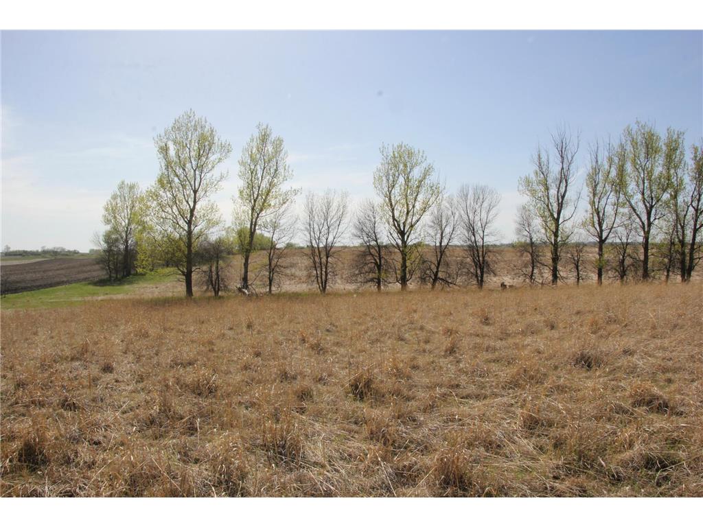 TBD 150th Street Fortier Twp MN 56220 7078878 image19