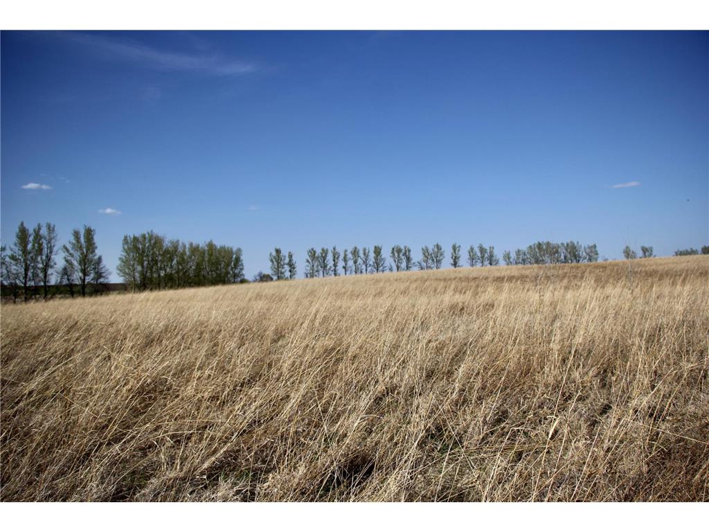 TBD 150th Street Fortier Twp MN 56220 7078878 image20