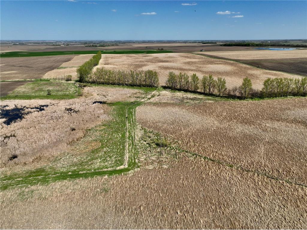 TBD 150th Street Fortier Twp MN 56220 7078878 image4