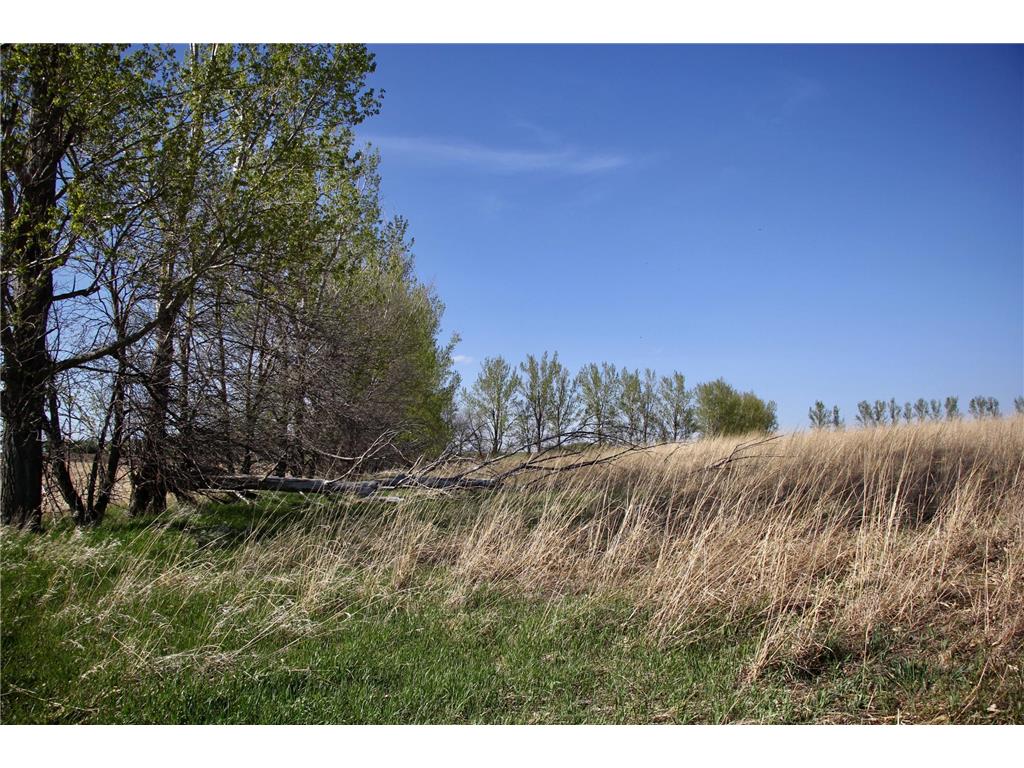 TBD 150th Street Fortier Twp MN 56220 7078878 image8