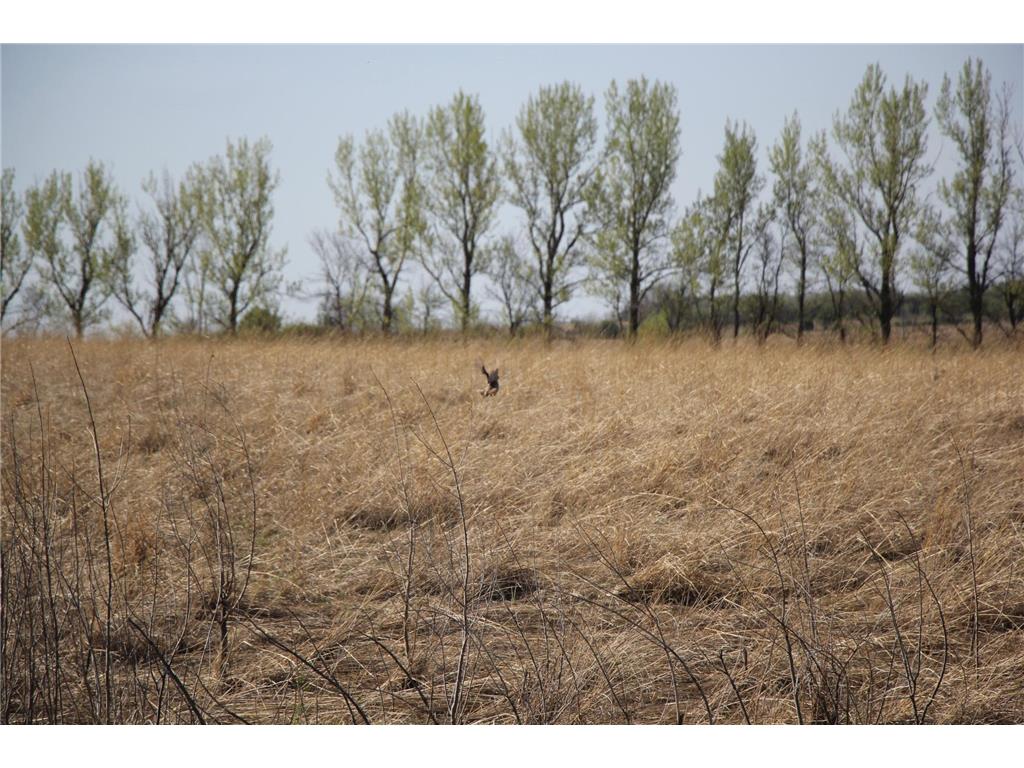TBD 150th Street Fortier Twp MN 56220 7078878 image9