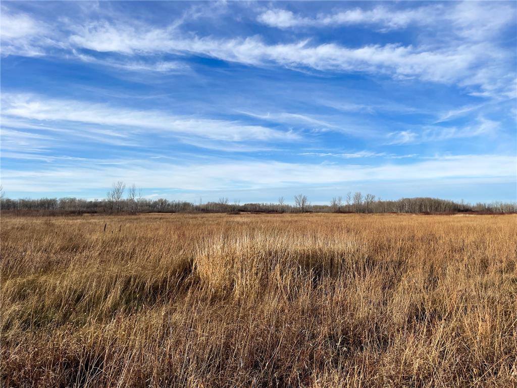 TBD 150th Street NW Bray Twp MN 56701 7039510 image16