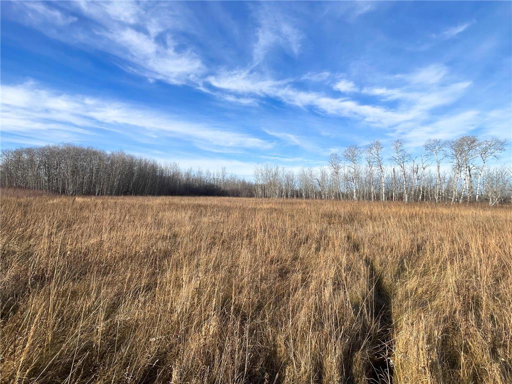 TBD 150th Street NW Bray Twp MN 56701 7039510 image17