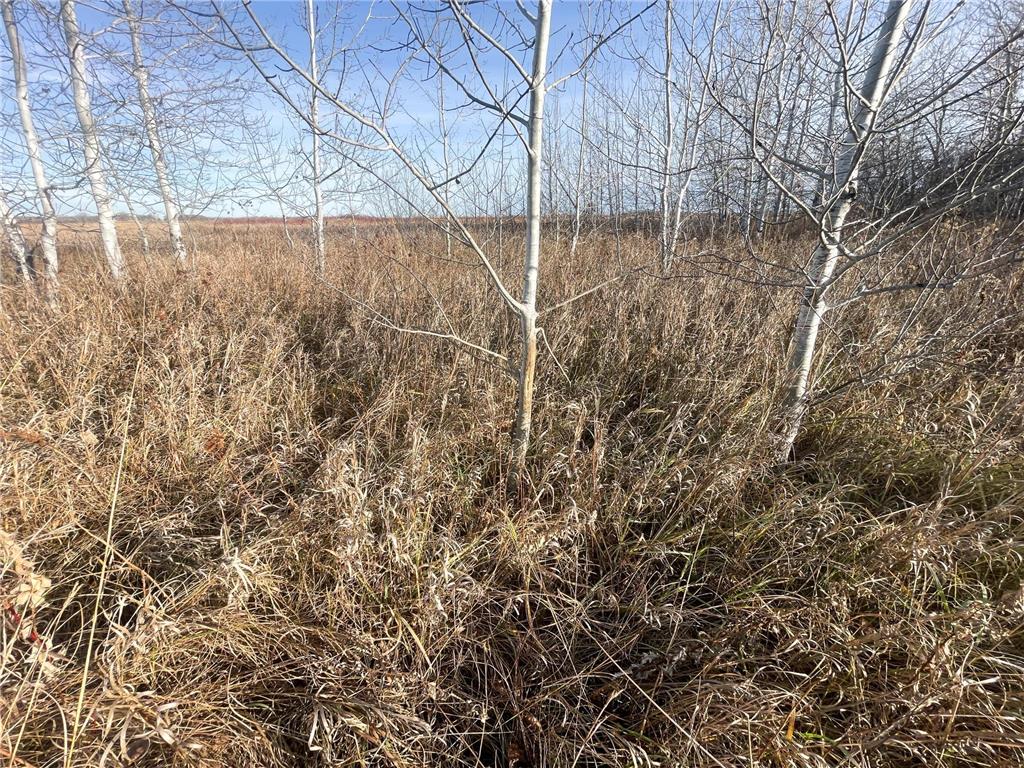 TBD 150th Street NW Bray Twp MN 56701 7039510 image18