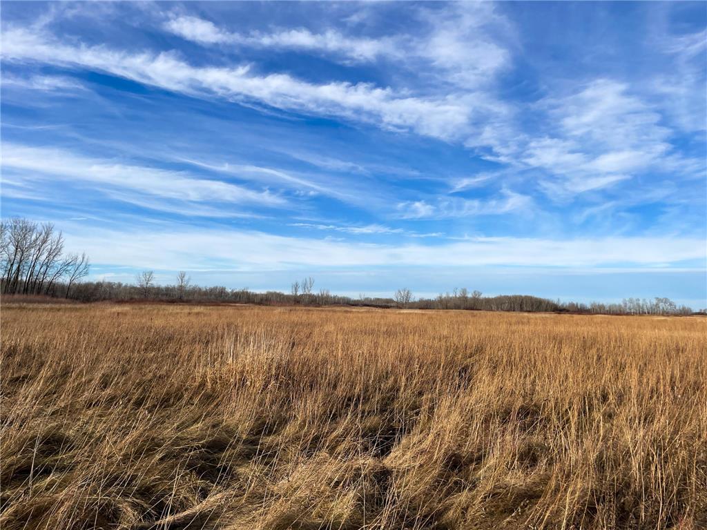 TBD 150th Street NW Bray Twp MN 56701 7039510 image24