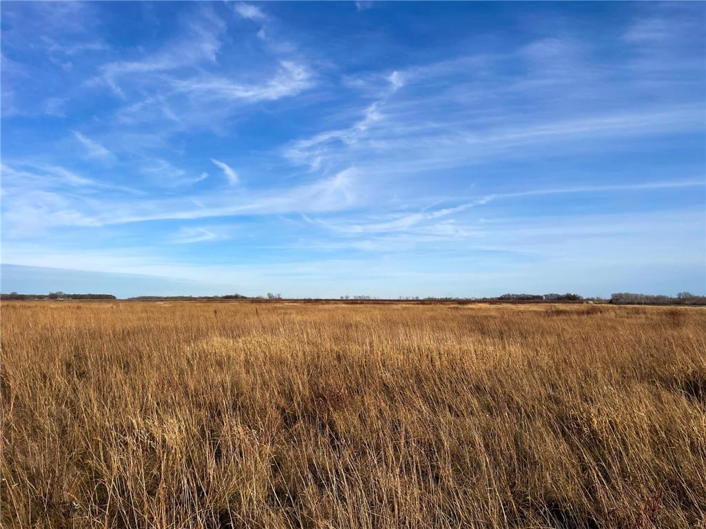 TBD 150th Street NW Bray Twp MN 56701 7039510 image26