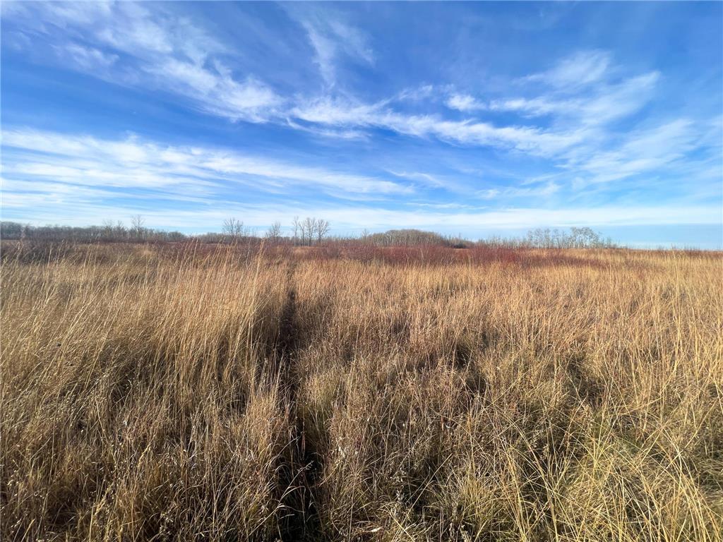 TBD 150th Street NW Bray Twp MN 56701 7039510 image27