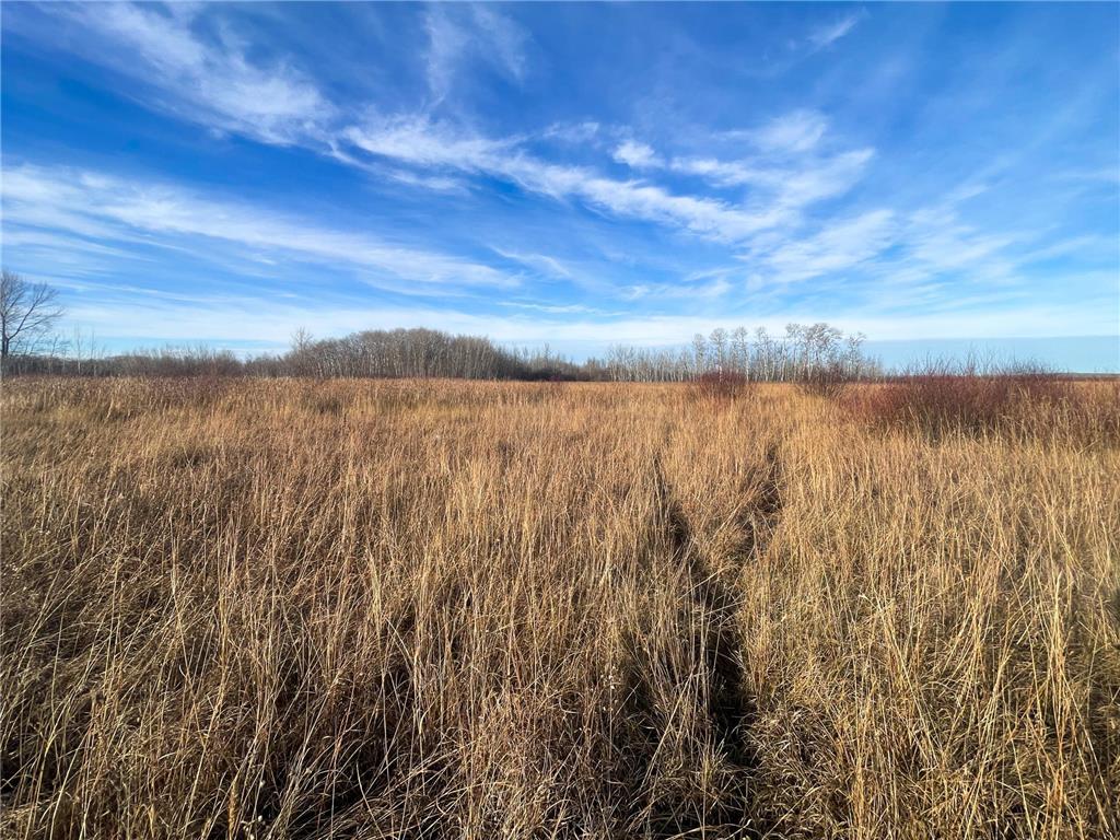 TBD 150th Street NW Bray Twp MN 56701 7039510 image29