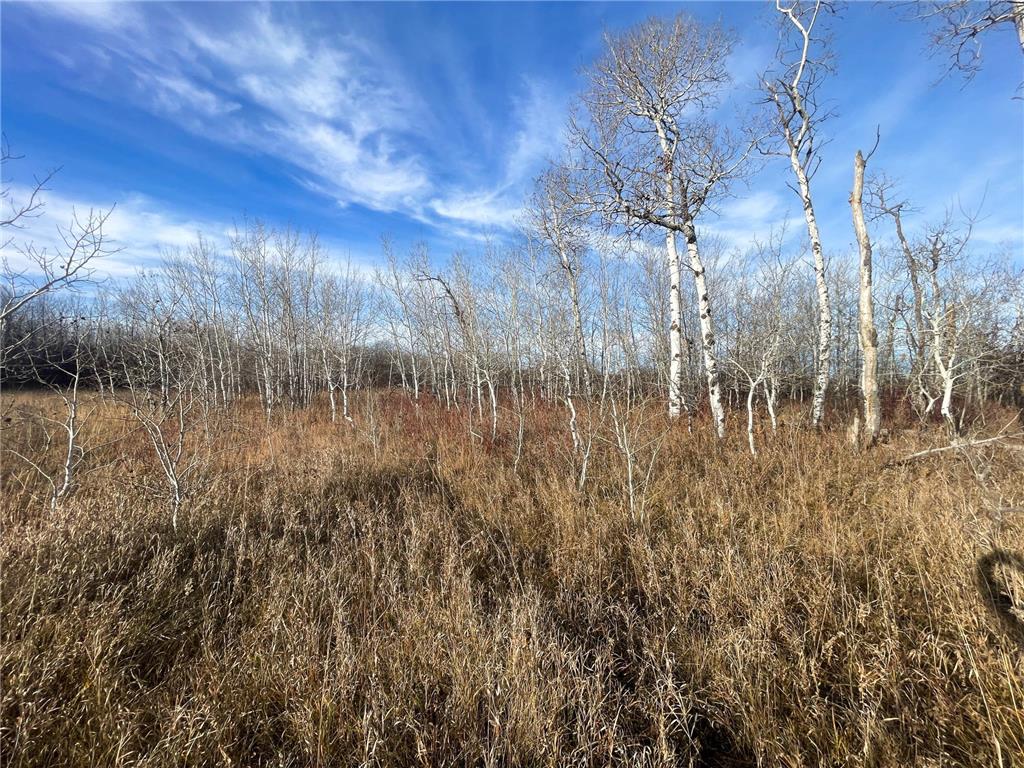 TBD 150th Street NW Bray Twp MN 56701 7039510 image30