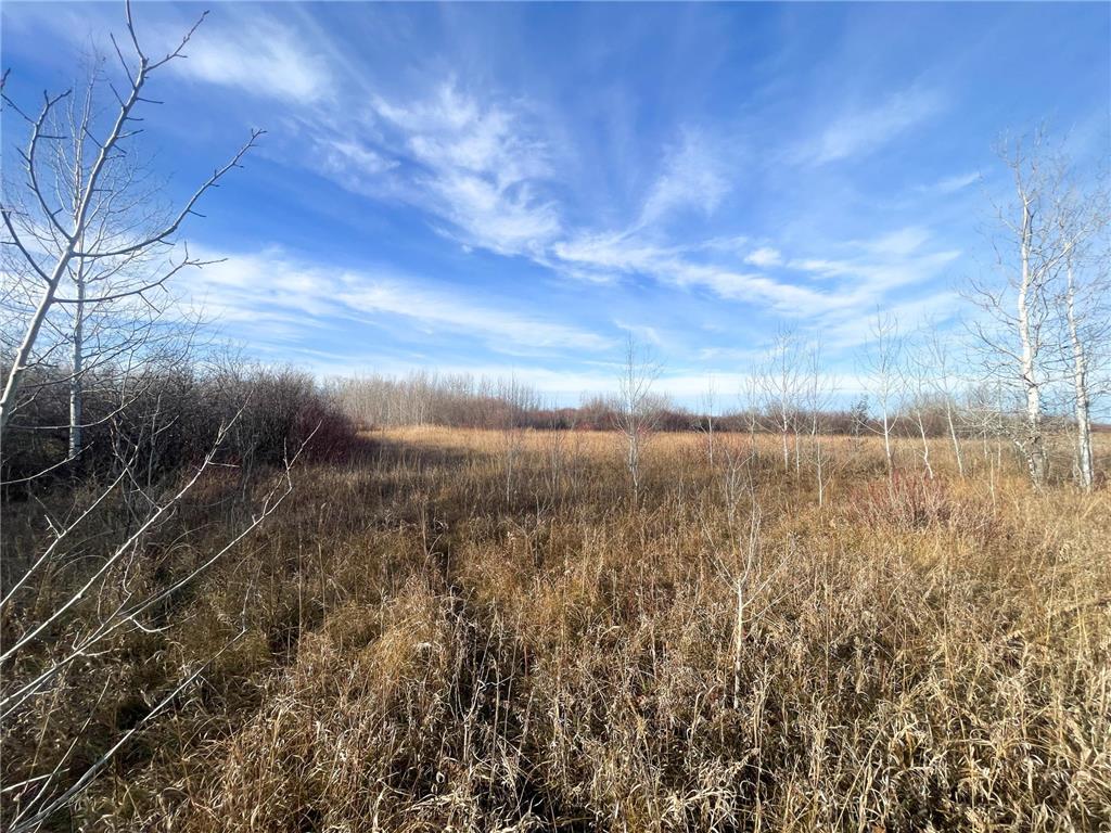 TBD 150th Street NW Bray Twp MN 56701 7039510 image31