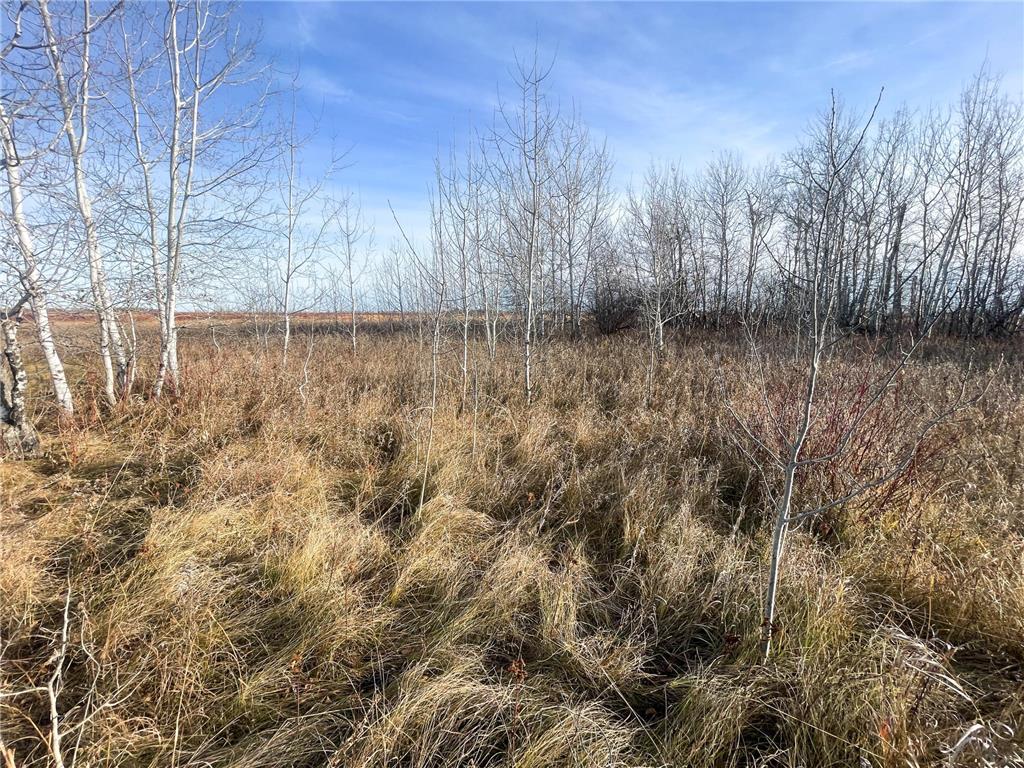 TBD 150th Street NW Bray Twp MN 56701 7039510 image32