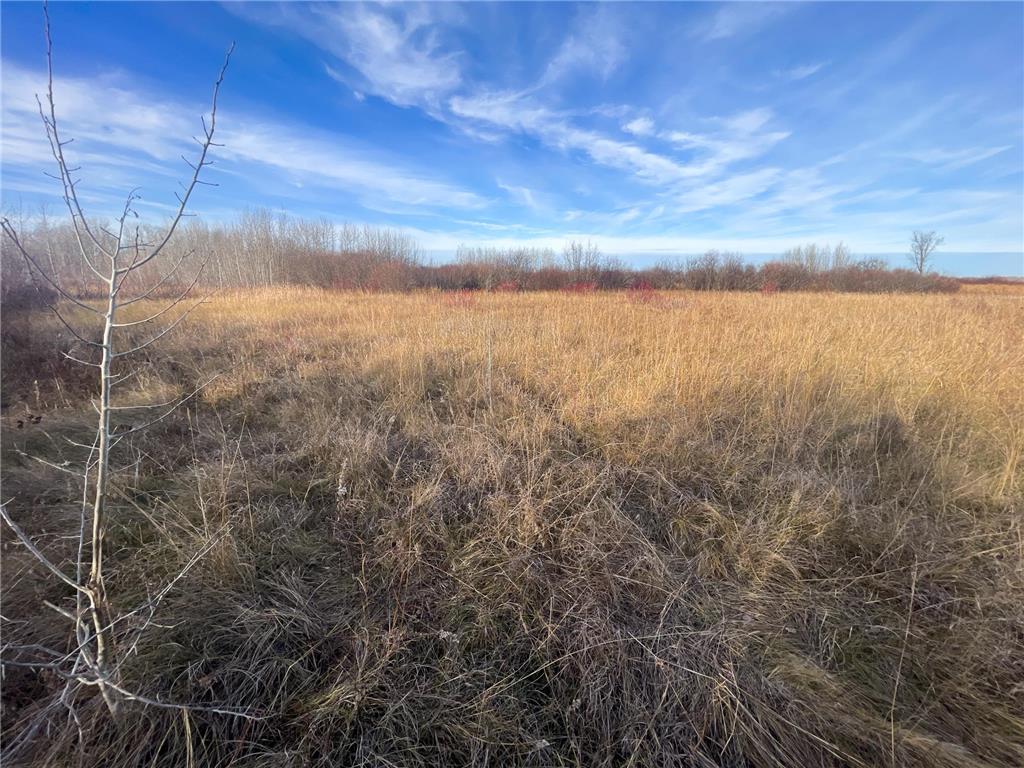 TBD 150th Street NW Bray Twp MN 56701 7039510 image33