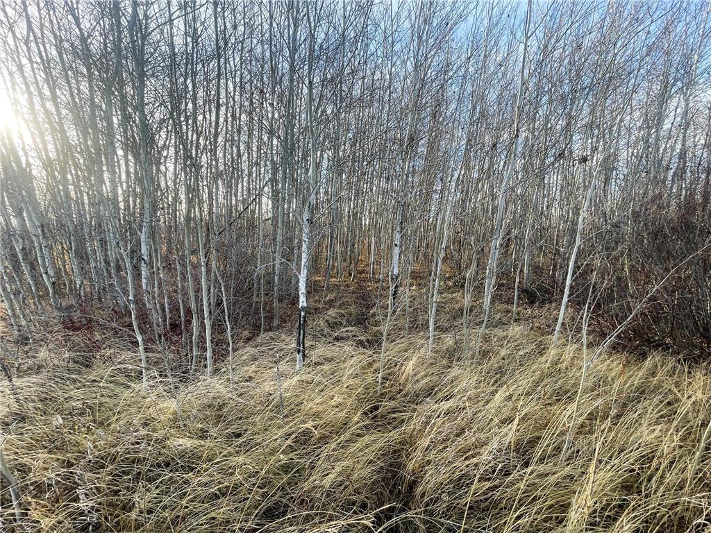 TBD 150th Street NW Bray Twp MN 56701 7039510 image34