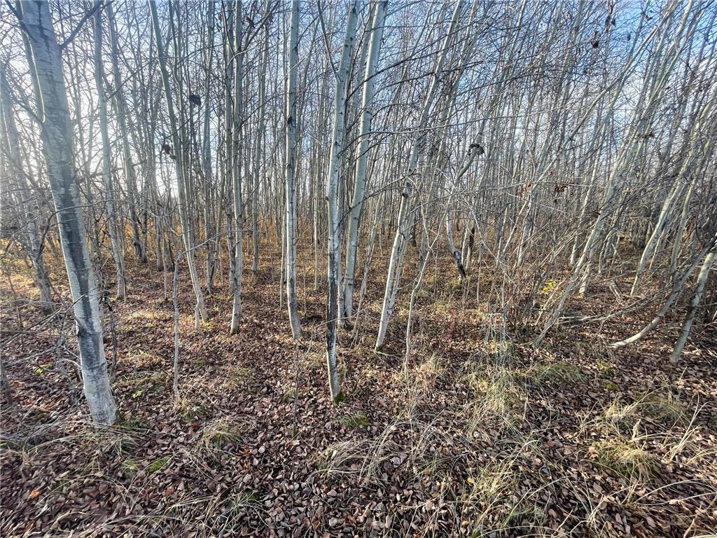 TBD 150th Street NW Bray Twp MN 56701 7039510 image35