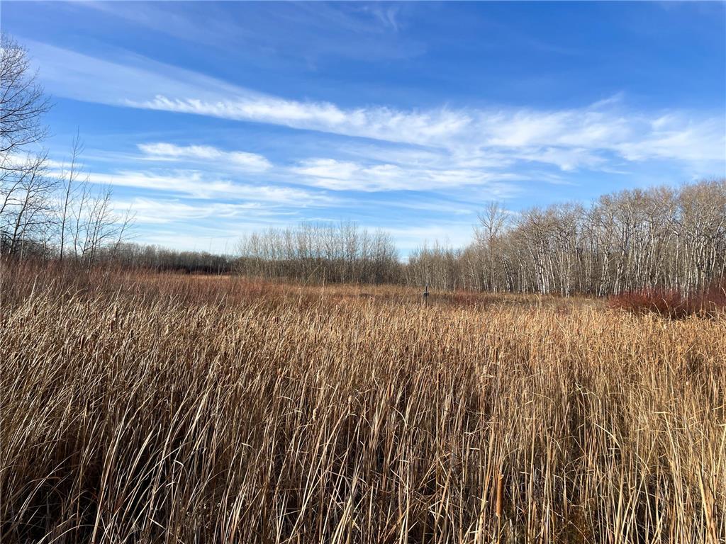 TBD 150th Street NW Bray Twp MN 56701 7039510 image37