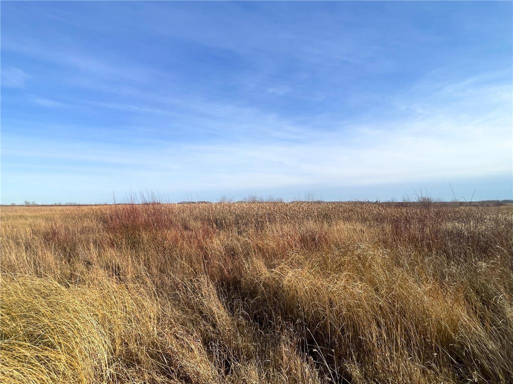 TBD 150th Street NW Bray Twp MN 56701 7039510 image38