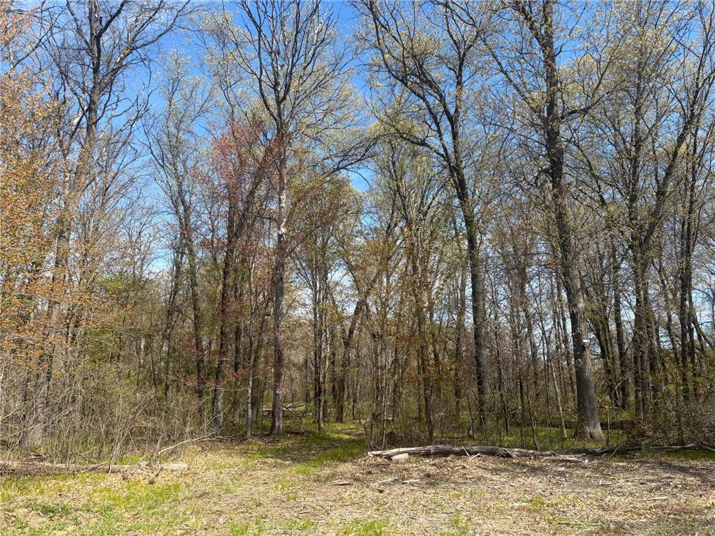 TBD 151st Street NW Princeton MN 55371 7070937 image1