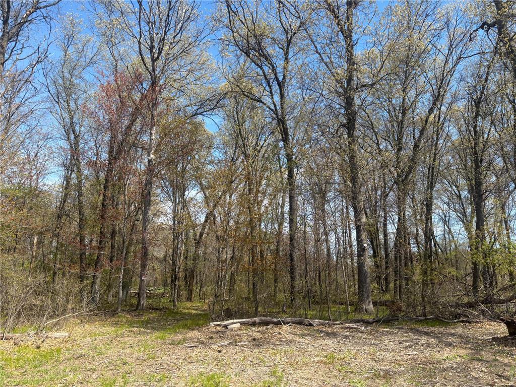 TBD 151st Street NW Princeton MN 55371 7070937 image2