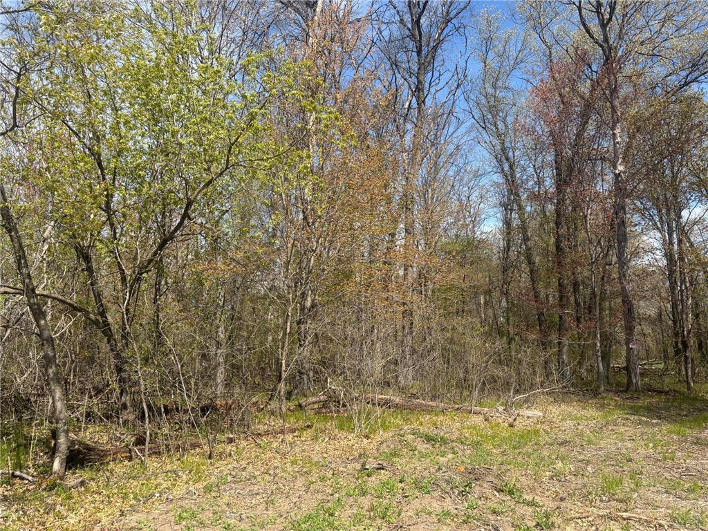 TBD 151st Street NW Princeton MN 55371 7070937 image3