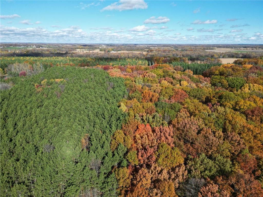 TBD 153rd ST 153rd Little Falls MN 56345 7053348 image1