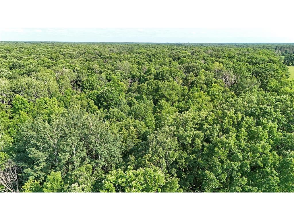 UNASSIGNED 155th Avenue Milaca MN 56353 7098947 image10