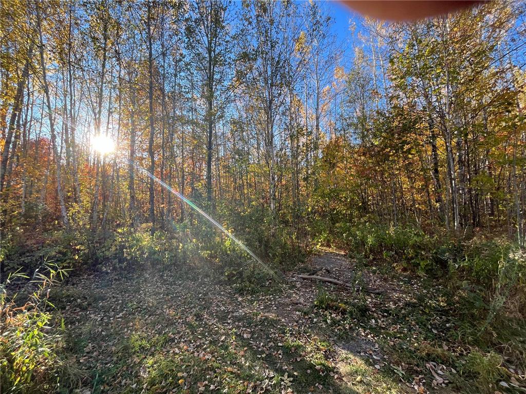 TBD 159 Northome MN 56661 6607588 image1