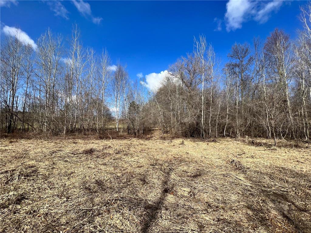 TBD 15th Ave Lot 3 Black Brook Twp WI 54007 - Island Lake 7007747 image2