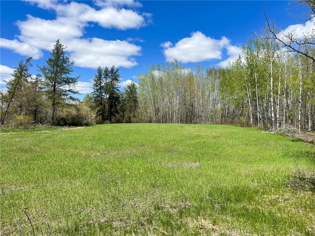 TBD 15th Street NW Bemidji Twp MN 56601 7040581 image1