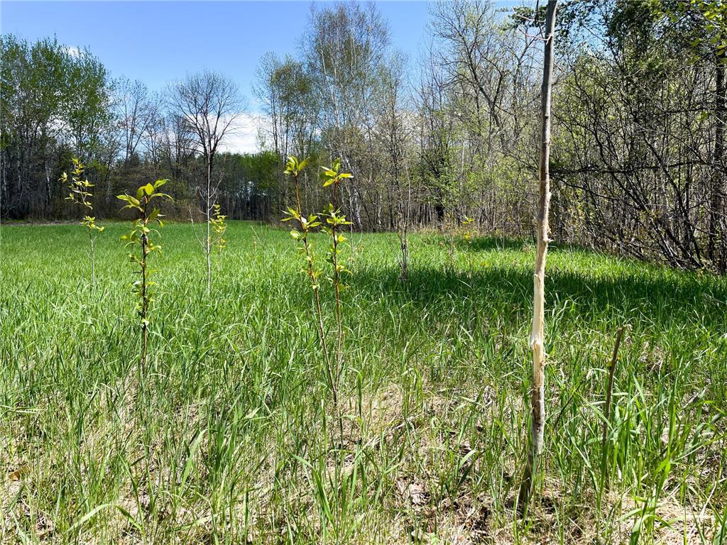 TBD 15th Street NW Bemidji Twp MN 56601 7040581 image13
