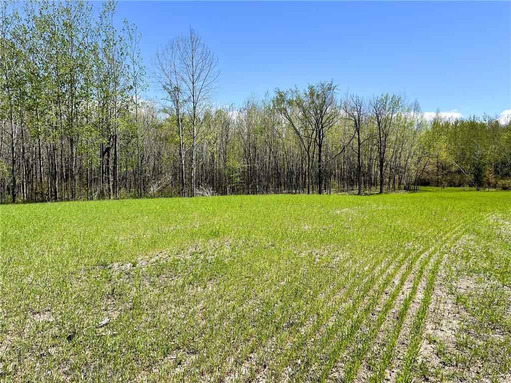 TBD 15th Street NW Bemidji Twp MN 56601 7040581 image19